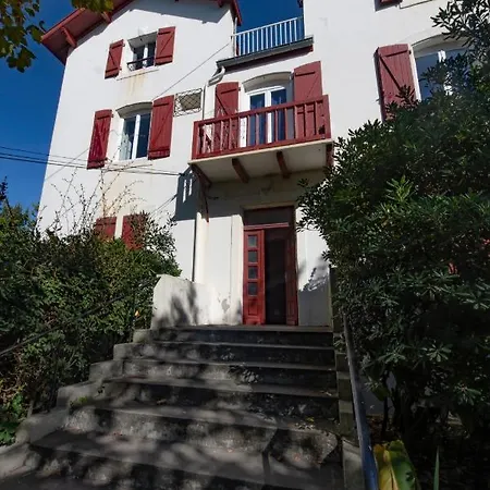 Design - Proche * 비아히쯔