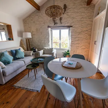 Design - Proche * 비아히쯔