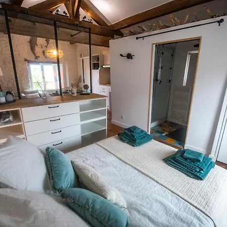 Design - Proche Daire *