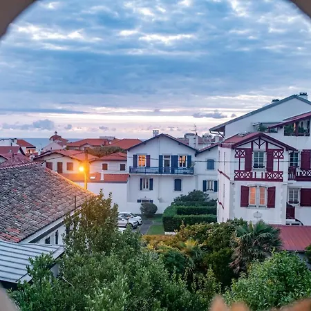 Design - Proche * 比亚里茨